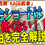 FX自動売買「KAGE武者」が資金ショートを恐れない2つの理由