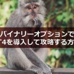 【2021年版】バイナリーオプションでMT4を導入して攻略する方法