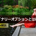バイナリーオプションとは何?仕組みをわかりやすく解説
