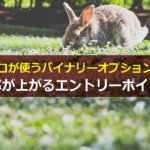 バイナリーオプションで勝率が上がるエントリーポイントとは?