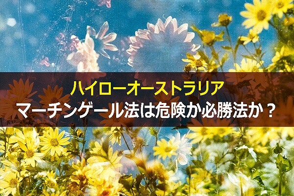 ハイローオーストラリアにてマーチンゲール法は危険か必勝法か?