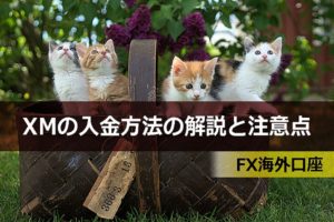 XMの入金方法の解説と注意点まとめ|FX海外口座