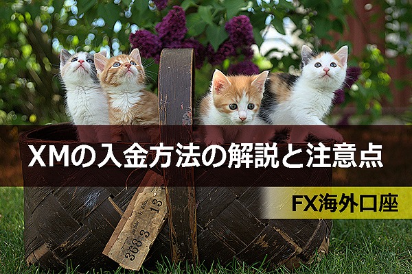 XMの入金方法の解説と注意点まとめ|FX海外口座