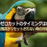 XMのゼロカットのタイミングは?残高がリセットされない時どうする?