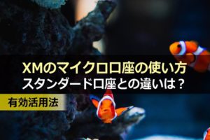 XMのマイクロ口座の使い方|スタンダード口座との違いは?