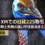 XMでの日経225取引を解説!現物と先物の違いや注意点まとめ