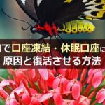 XMで口座凍結や休眠口座になる原因と、凍結解除する方法を解説