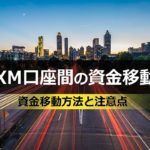 XMで口座間の資金移動をさせる方法と注意点を解説