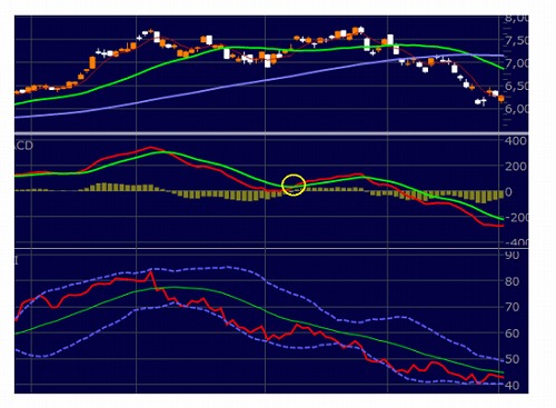 ダマシを回避してトレンドフォローを狙う