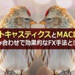 ストキャスティクスとMACDの組み合わせで効果的なFX手法とは?