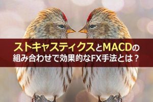 ストキャスティクスとMACDの組み合わせで効果的なFX手法とは?